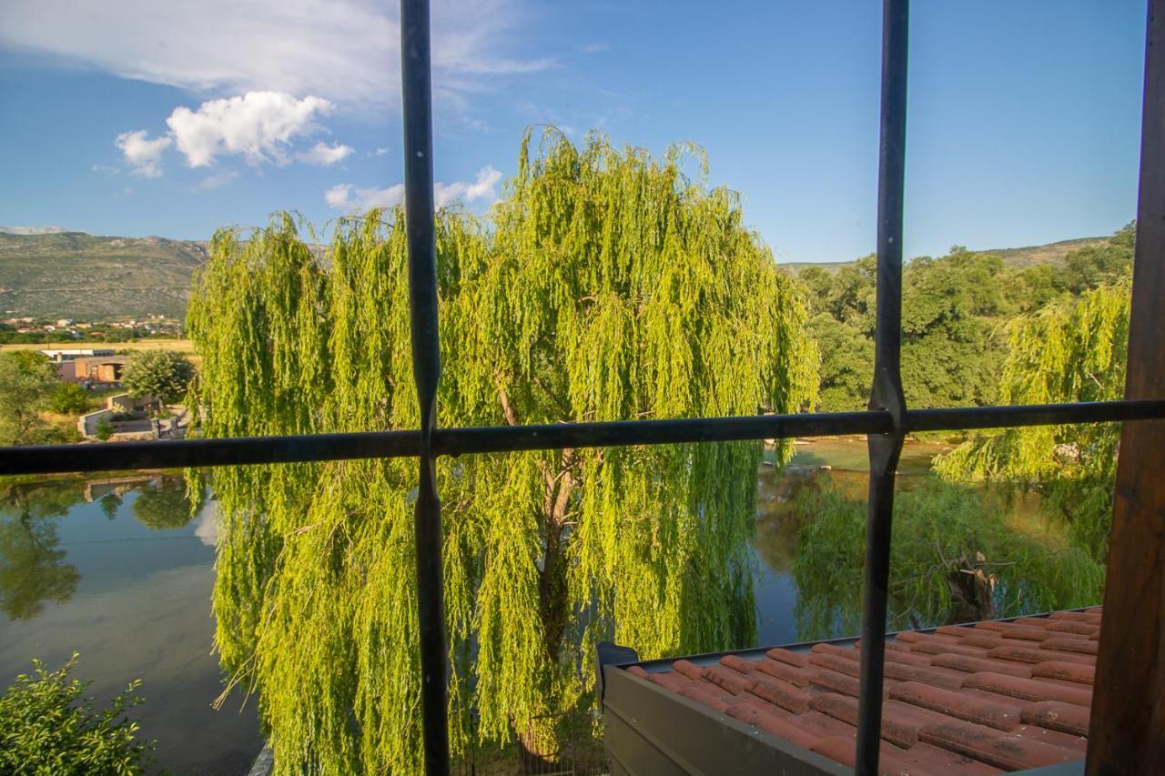 מוסטר Villa Verde מראה חיצוני תמונה